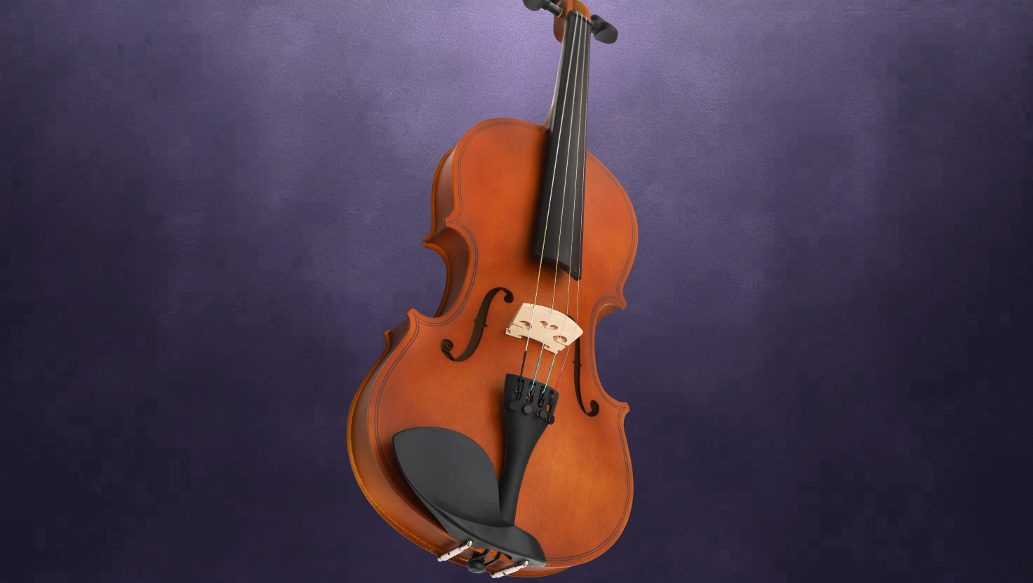 Bass Guitar Mastery
